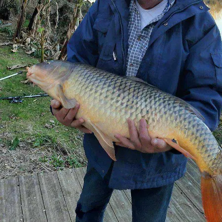De Peche Bord Du Lot *